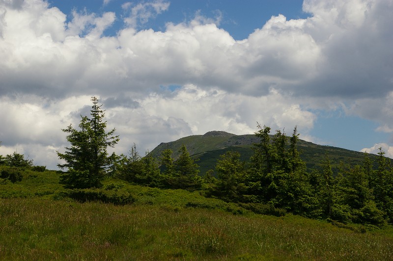 IMGP1209.jpg