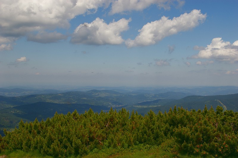 IMGP1228.jpg