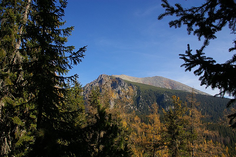 IMGP2582.jpg