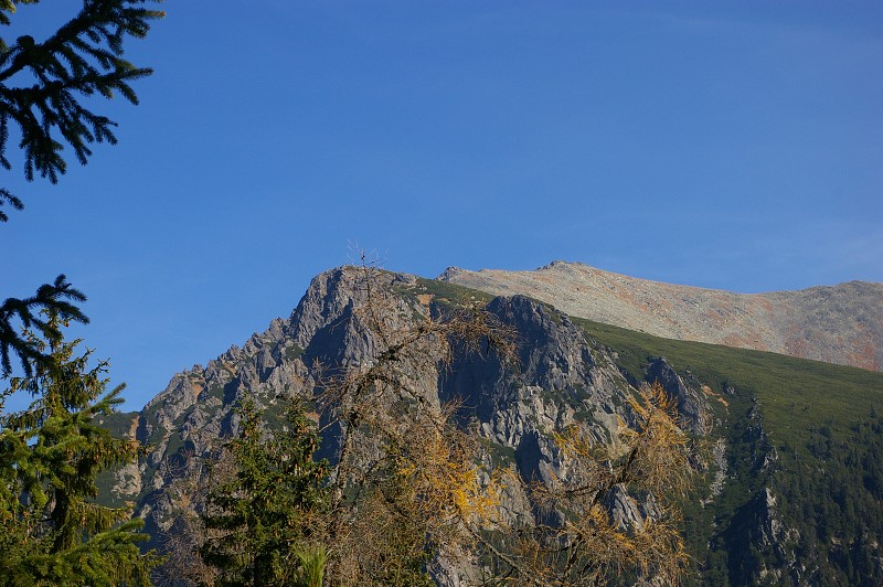 IMGP2583.jpg