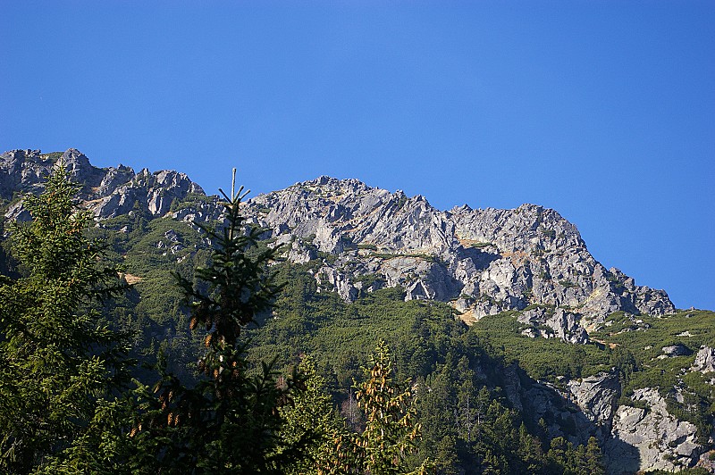 IMGP2588.jpg