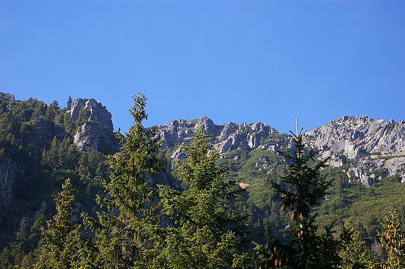 IMGP2589.jpg