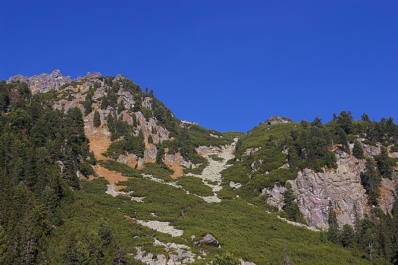 IMGP2634.jpg