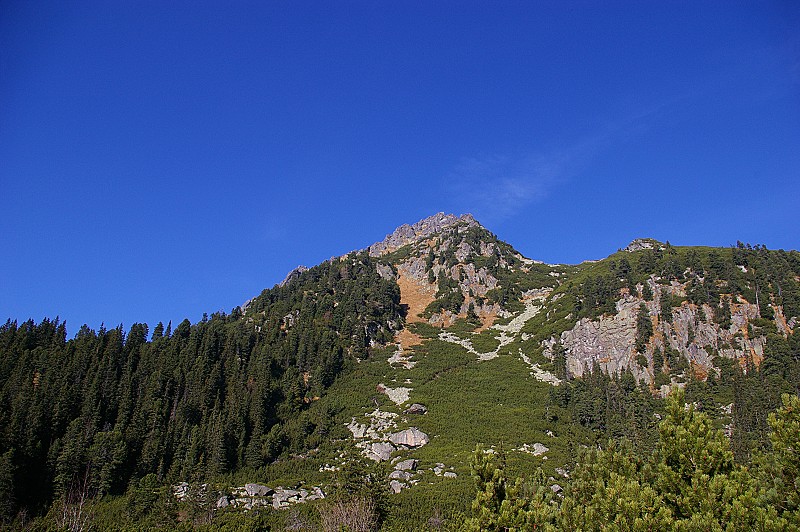 IMGP2649.jpg