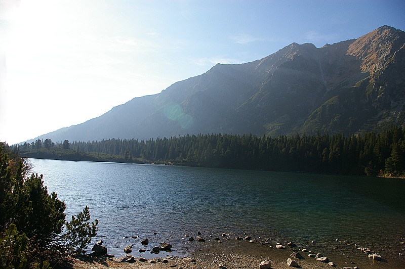 IMGP2652.jpg
