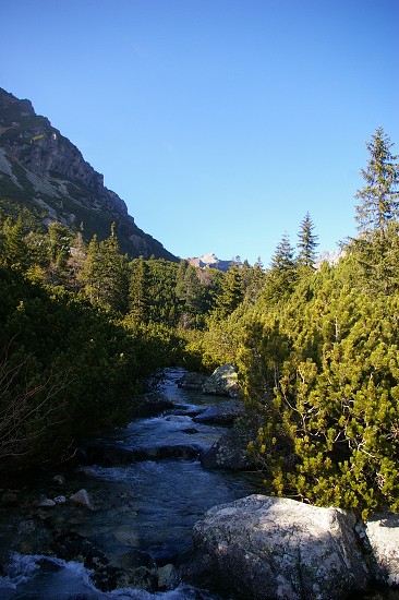 IMGP2664.jpg