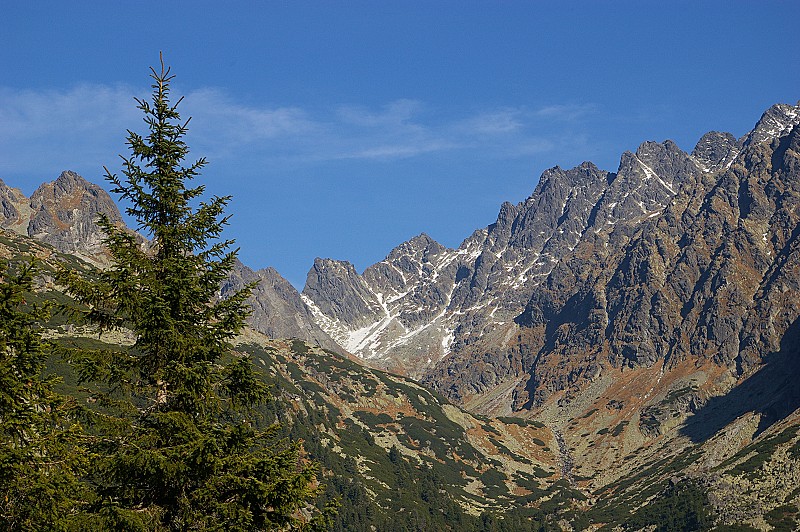IMGP2679.jpg
