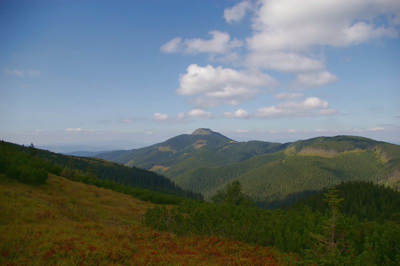IMGP2120.jpg