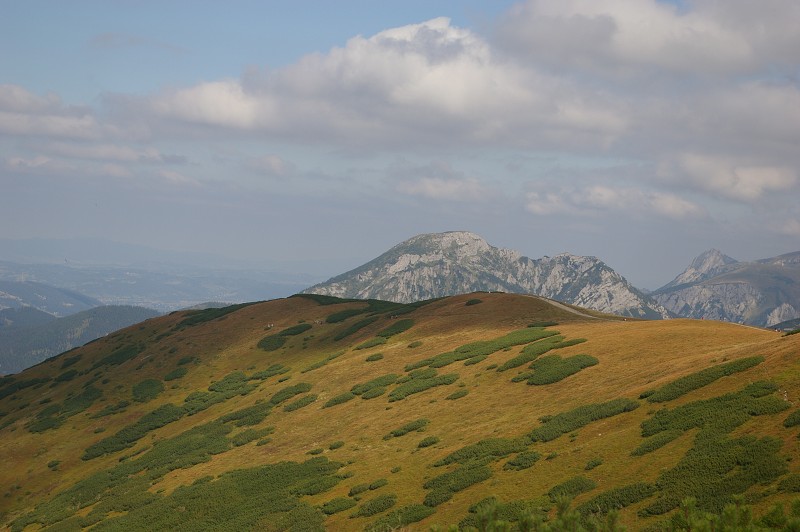 IMGP2180.jpg