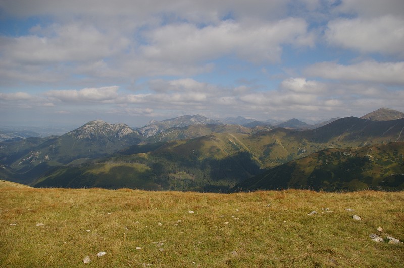 IMGP2193.jpg