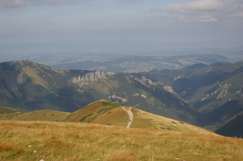 IMGP2199.jpg