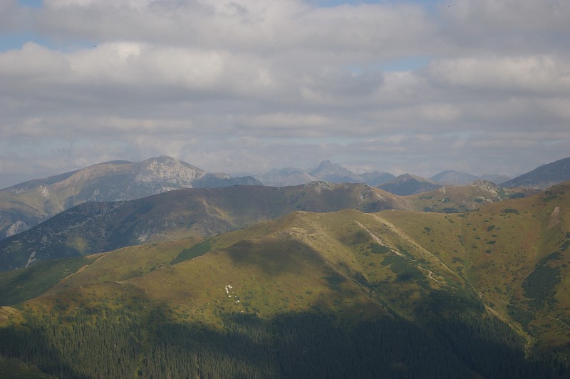 IMGP2217.jpg