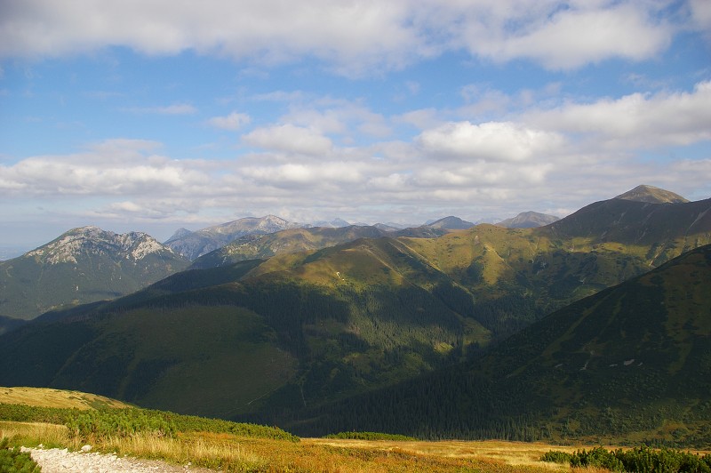IMGP2225.jpg