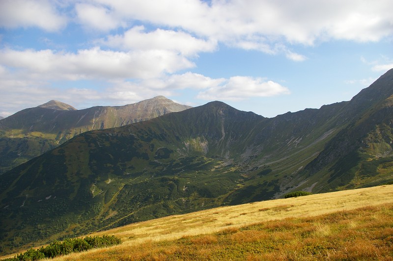 IMGP2227.jpg