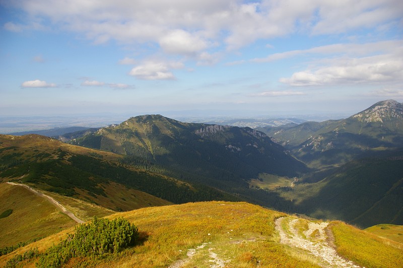 IMGP2233.jpg