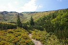 thn_IMGP2088.jpg