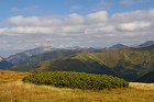 thn_IMGP2218.jpg