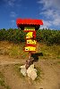 thn_IMGP2245.jpg