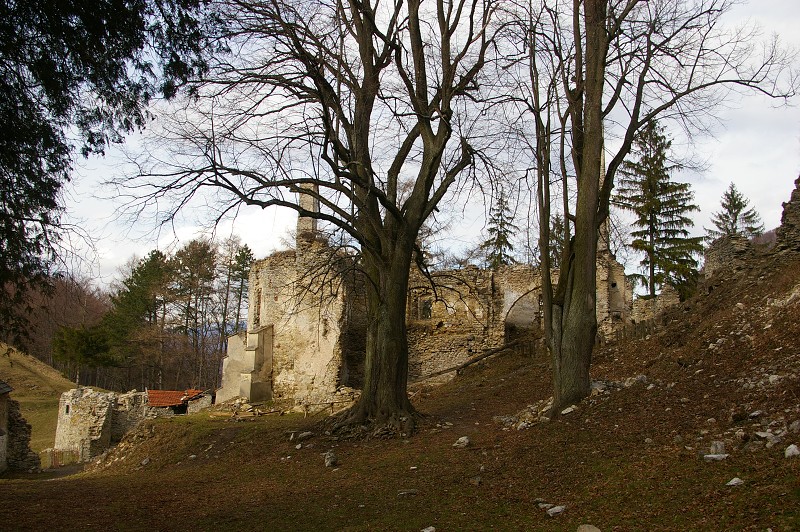 IMGP0515.jpg