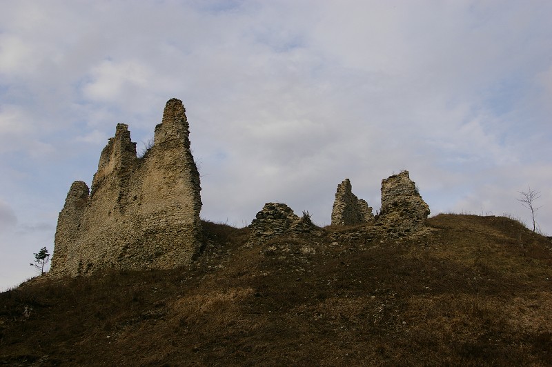 IMGP0519.jpg