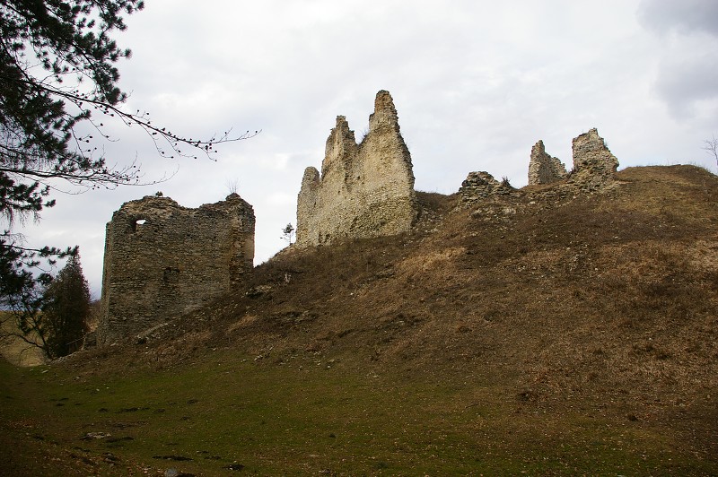 IMGP0523.jpg