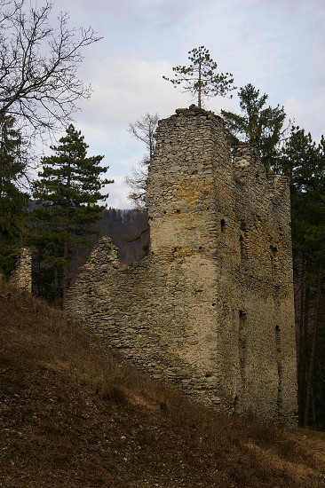IMGP0524.jpg