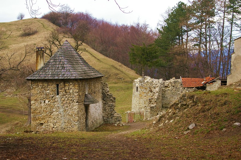 IMGP0534.jpg