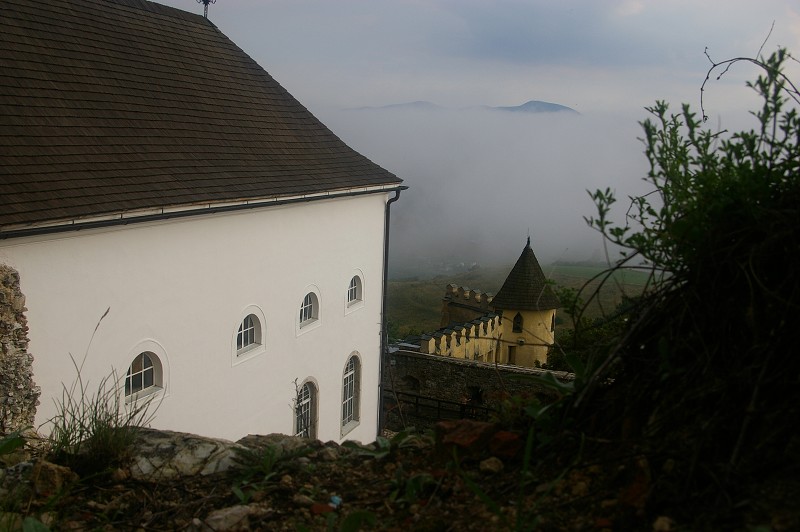 IMGP1837.jpg