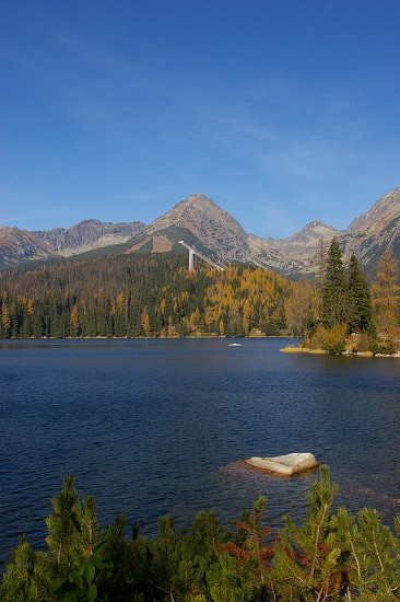 IMGP2576.jpg