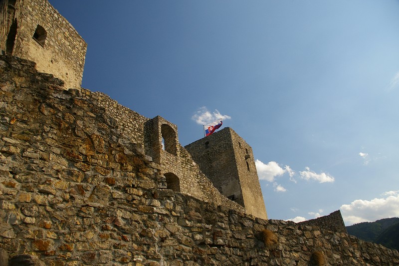 IMGP1449.jpg