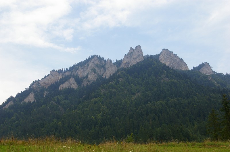 IMGP1872.jpg