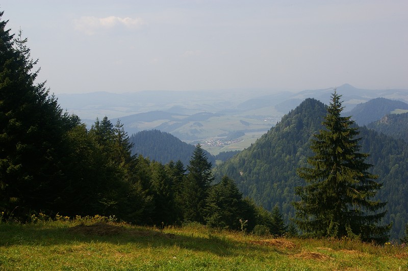 IMGP1924.jpg